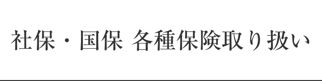 社保・国保 各種保険取り扱い