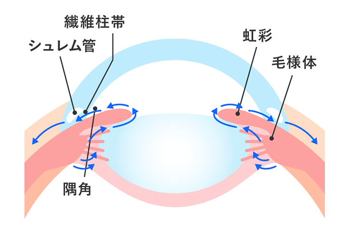 房水と眼圧について